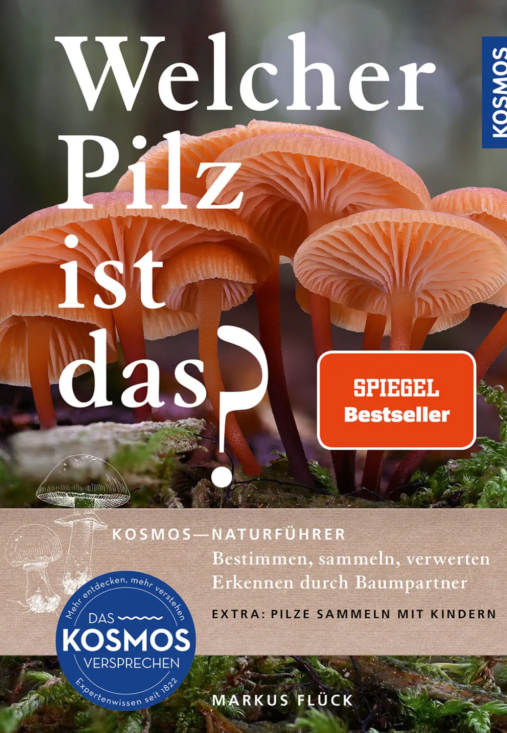Welcher Pilz ist das?