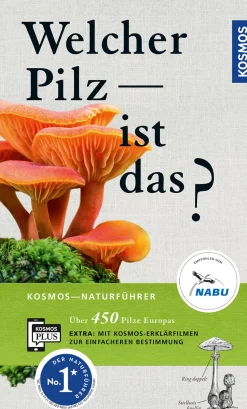 Welcher Pilz ist das?