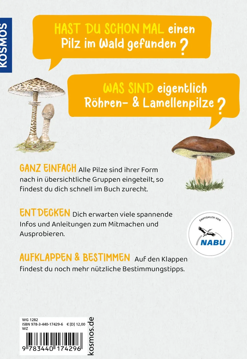Welcher Pilz ist das? Kindernaturführer