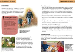 Welcher Pilz ist das? Kindernaturführer