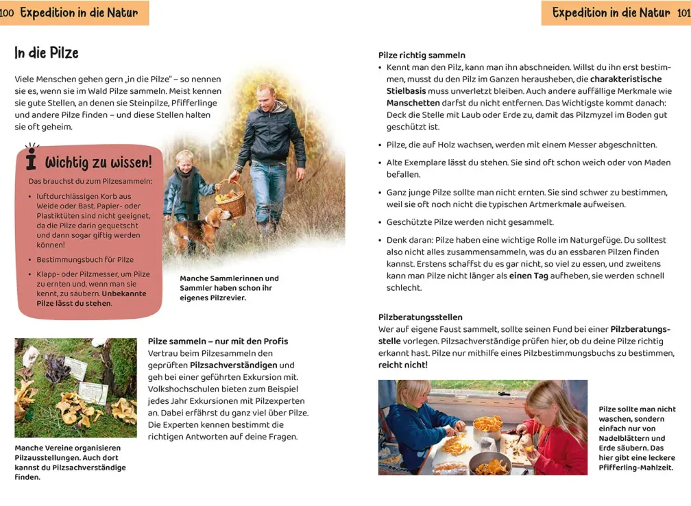 Welcher Pilz ist das? Kindernaturführer