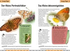 Welcher Schmetterling ist das? Kindernaturführer