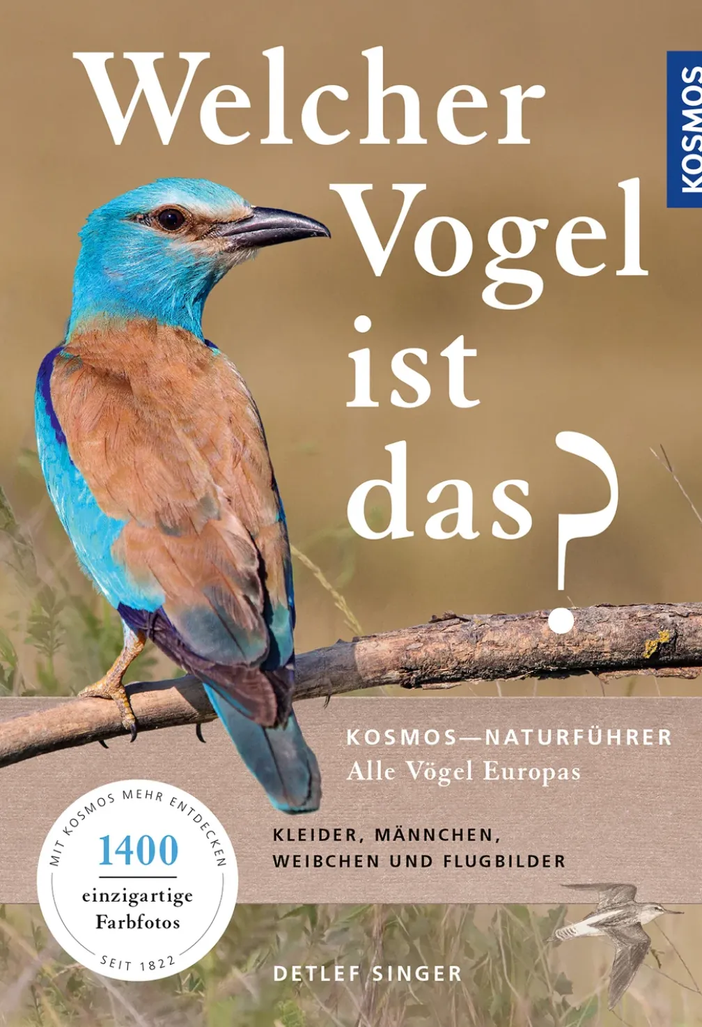 Welcher Vogel ist das?