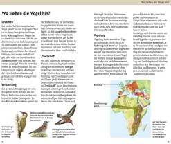 Welcher Vogel ist das?