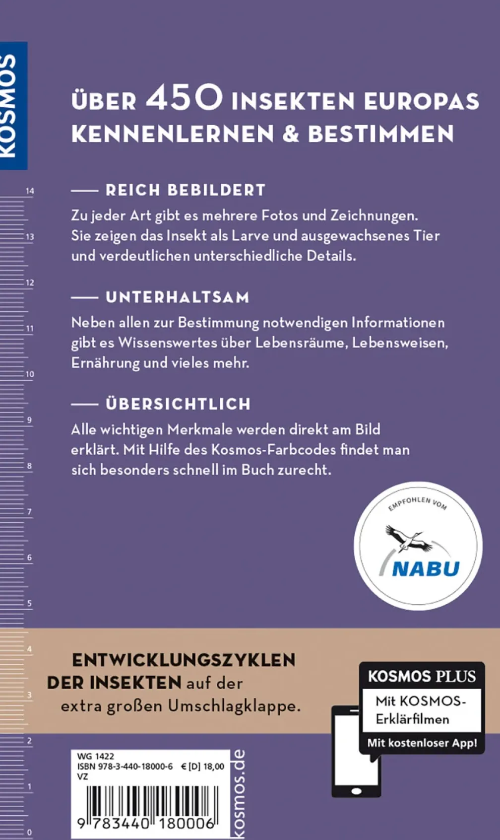 Welches Insekt ist das?