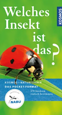 Welches Insekt ist das?