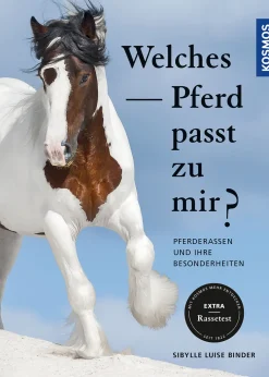 Welches Pferd passt zu mir