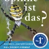 Welche Spinne ist das?