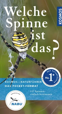 Welche Spinne ist das?