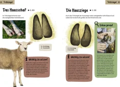 Welche Tierspur ist das? Kindernaturführer