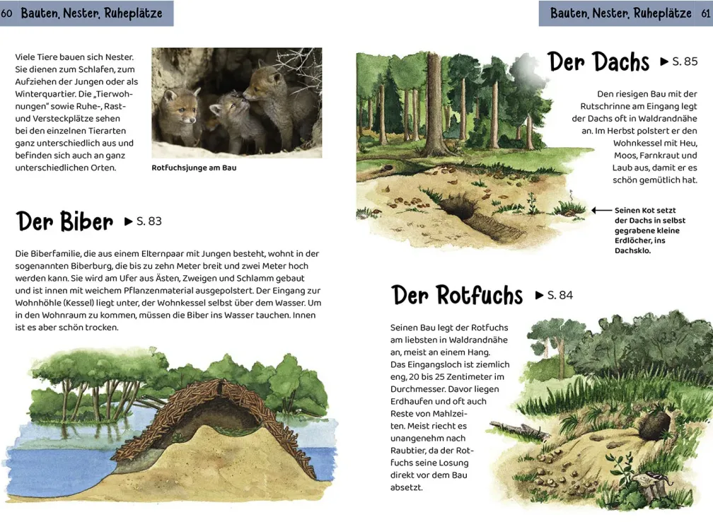 Welche Tierspur ist das? Kindernaturführer