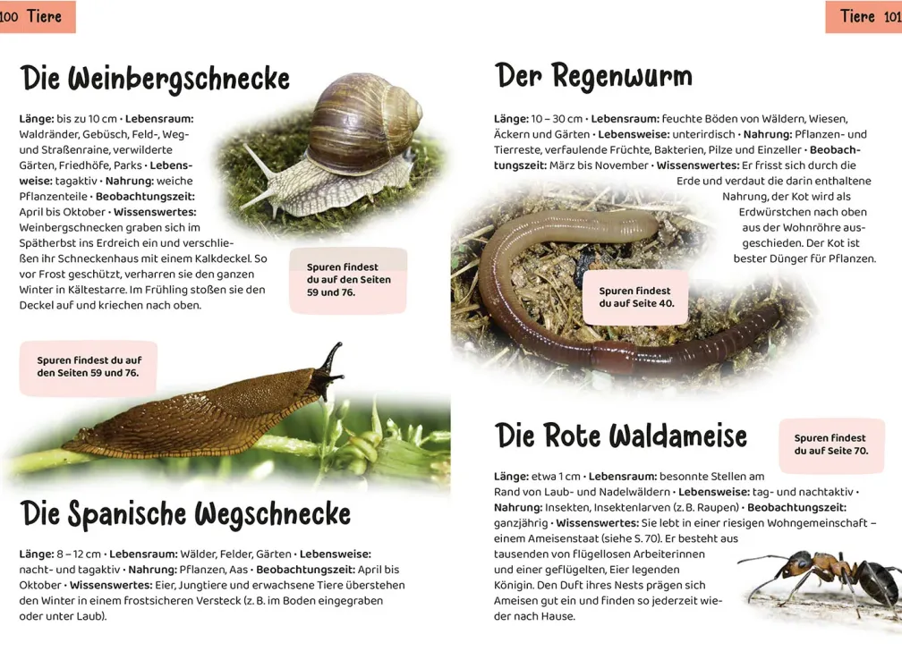 Welche Tierspur ist das? Kindernaturführer