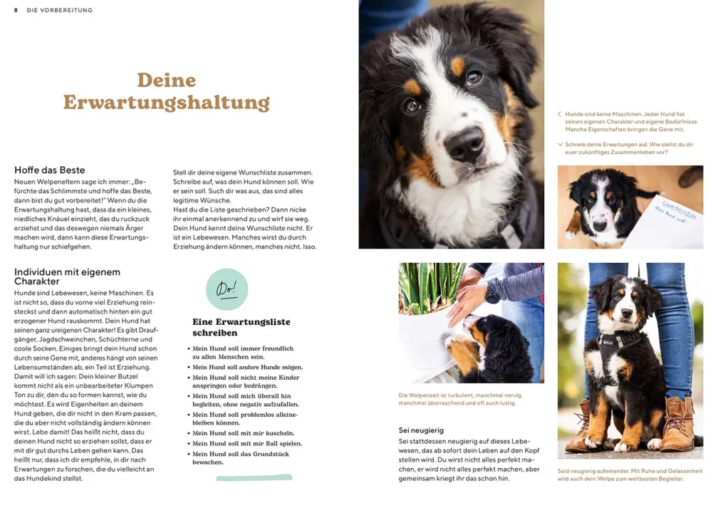 Welpenschule