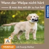 Wenn der Welpe „nicht hört“ – und was das mit dir zu tun hat