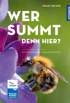 Wer summt denn hier? - Insektensommer