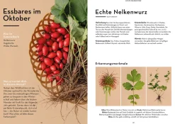 Wild durchs Jahr