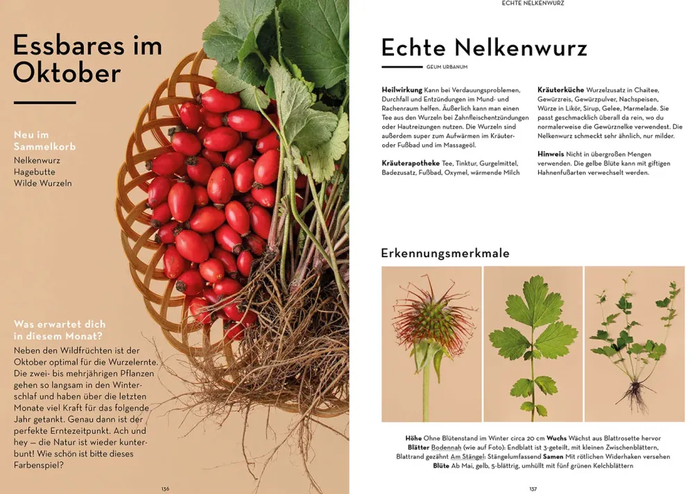 Wild durchs Jahr