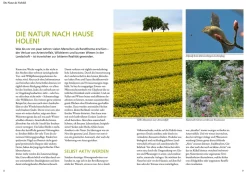 Wilde Kübel