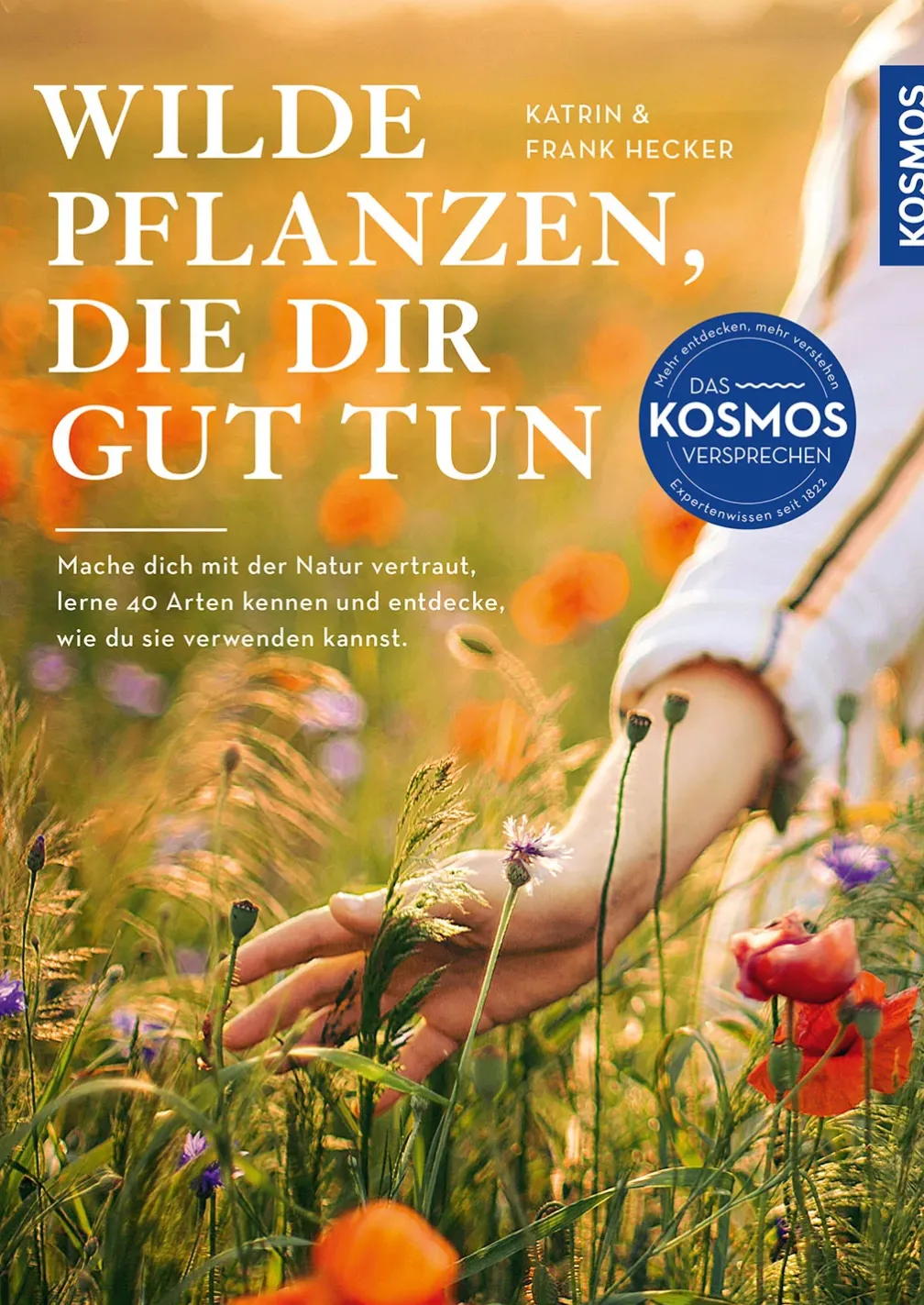 Wilde Pflanzen, die dir gut tun