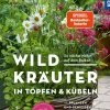 Wildkräuter in Töpfen & Kübeln