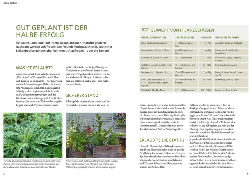 Wildkräuter in Töpfen & Kübeln