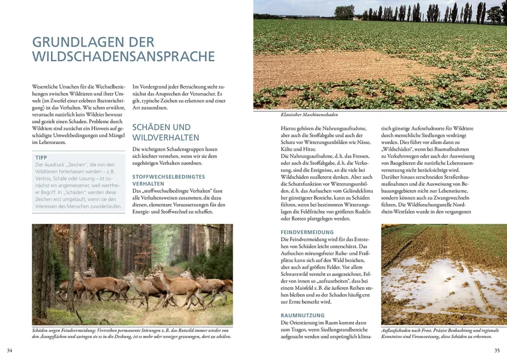 Wildschäden