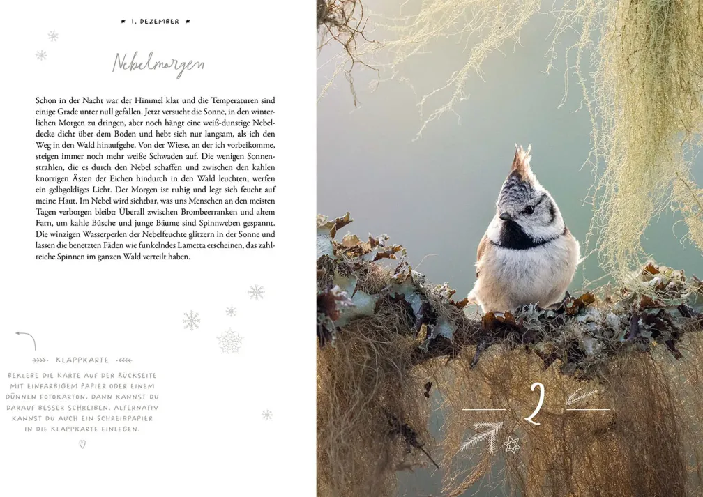 Winter Moments in Nature – der Adventskalender