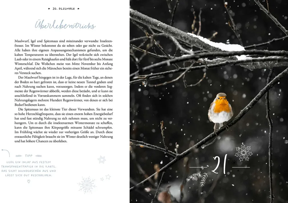 Winter Moments in Nature – der Adventskalender