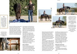 Working Equitation