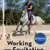 Working Equitation