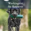 Working-Tests für Retriever - die rassegerechte Beschäftigung mit dem Dummy