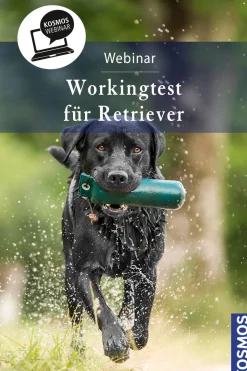 Working-Tests für Retriever - die rassegerechte Beschäftigung mit dem Dummy