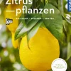 Zitruspflanzen (Mein Garten)