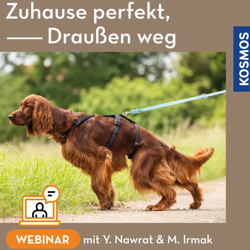 Zuhause perfekt, draußen weg