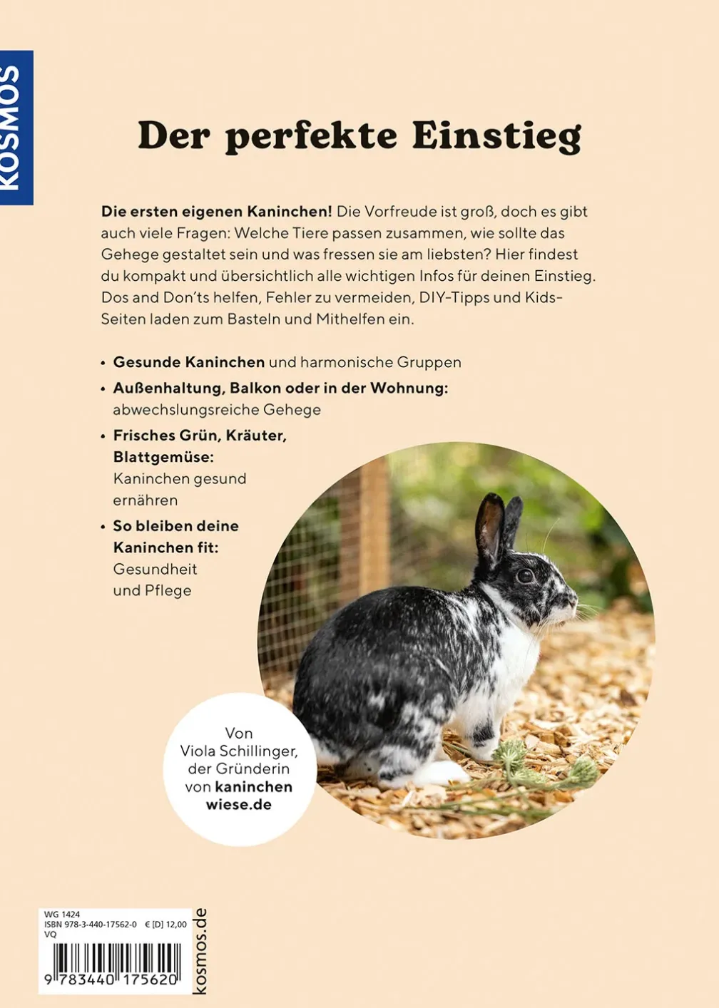 Zwergkaninchen