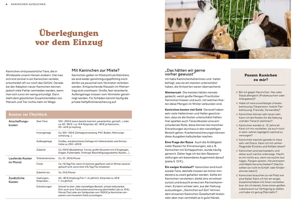 Zwergkaninchen