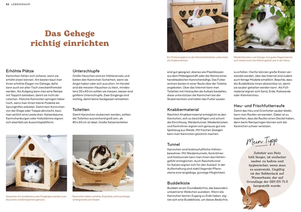 Zwergkaninchen
