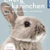 Zwergkaninchen