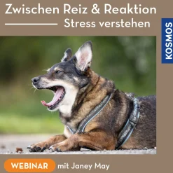Zwischen Reiz & Reaktion – Stress verstehen